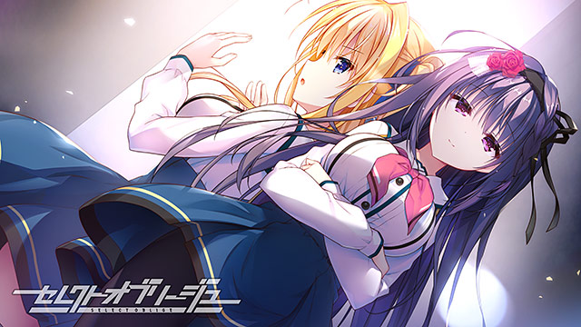 セレクトオブリージュのプレイ画像002